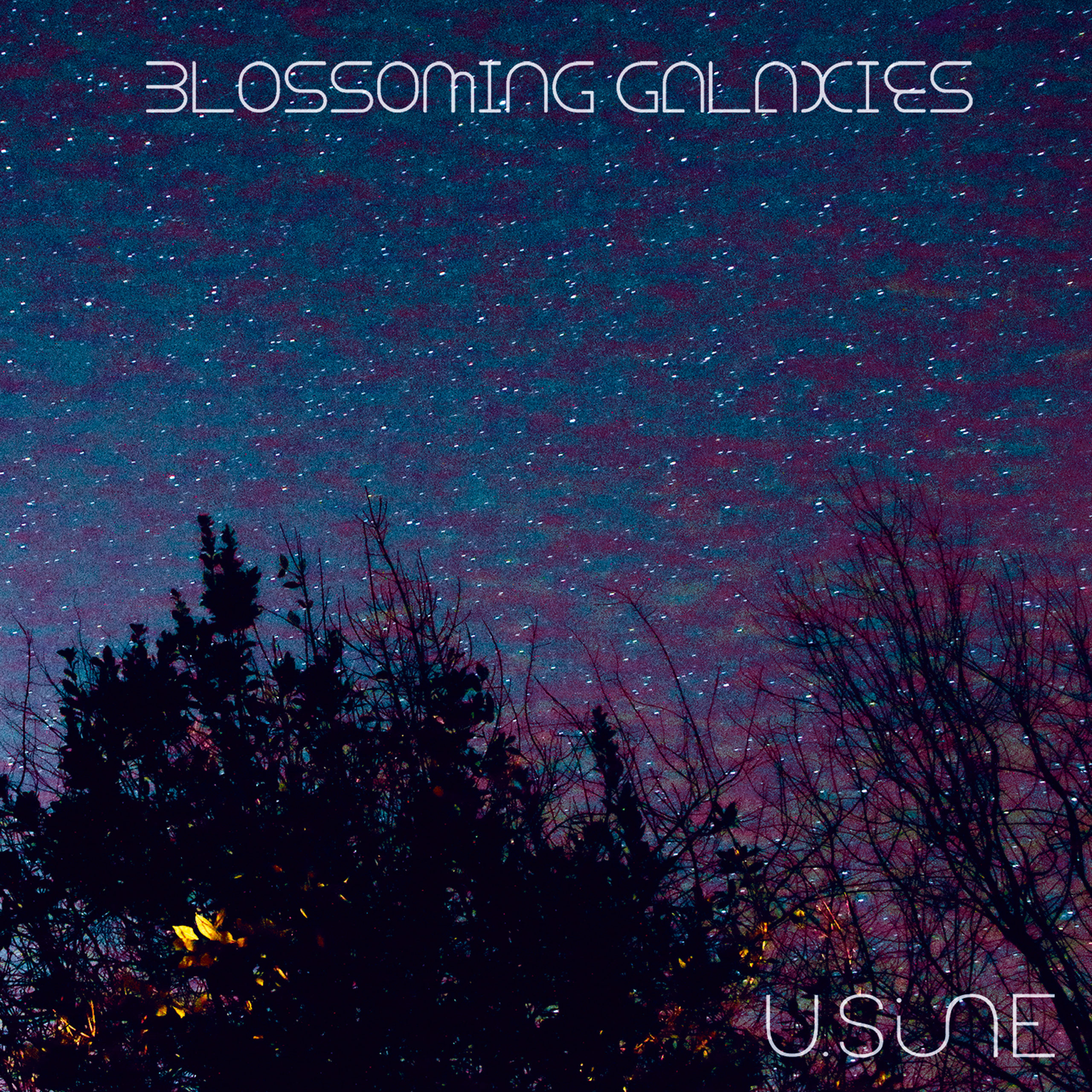 BLOSSOMING GALAXIES : Premier Ep de U.SINE